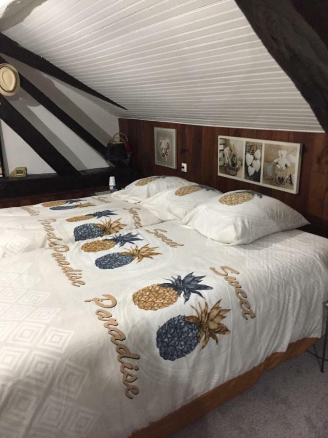 Maison Pres Du Circuit 24H Du Mans 아르나지 외부 사진